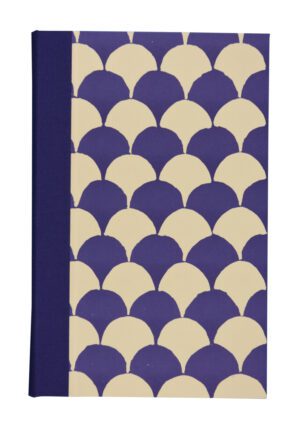 A book cover with a pattern of blue and beige.