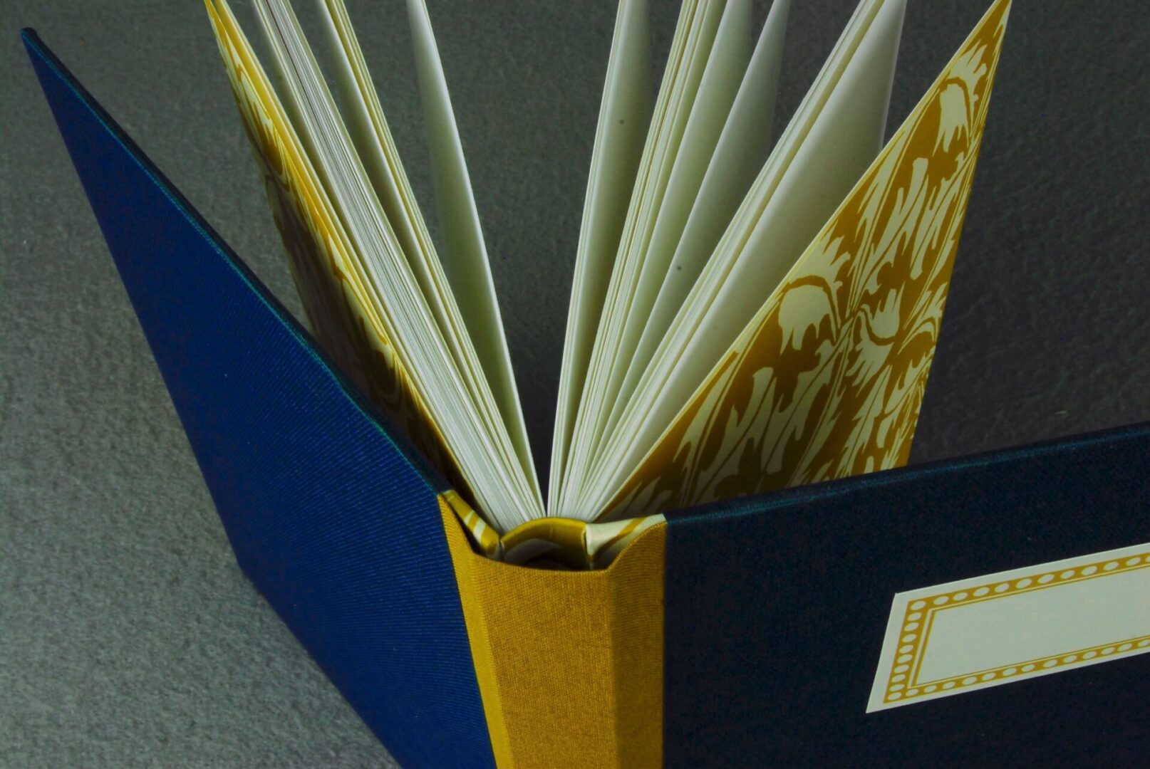 Blue and gold patterned journal open.